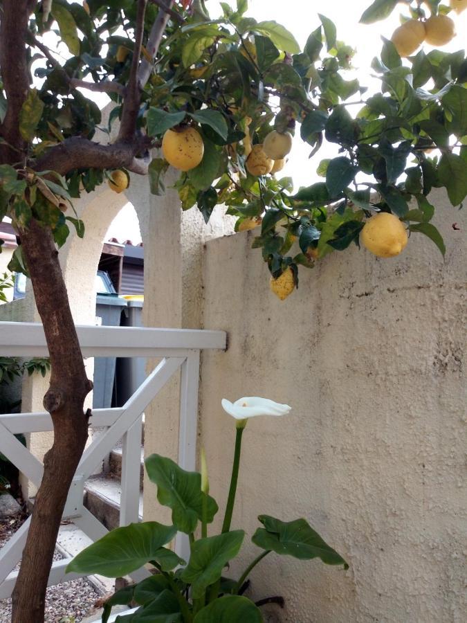 L'Orangeraie Bed & Breakfast Елн Екстериор снимка